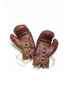 Professional Boxing Glove